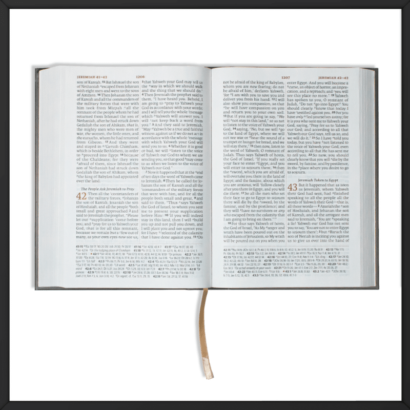 Printed overseas Legacy Standard Bible inside look