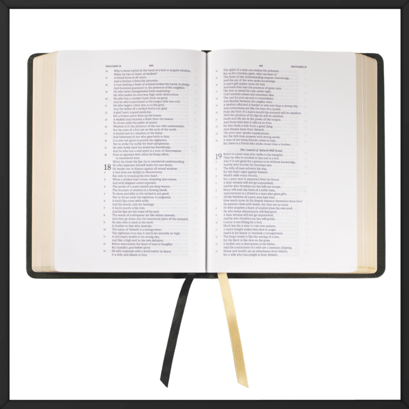 Printed overseas Legacy Standard Bible Master Green inside look