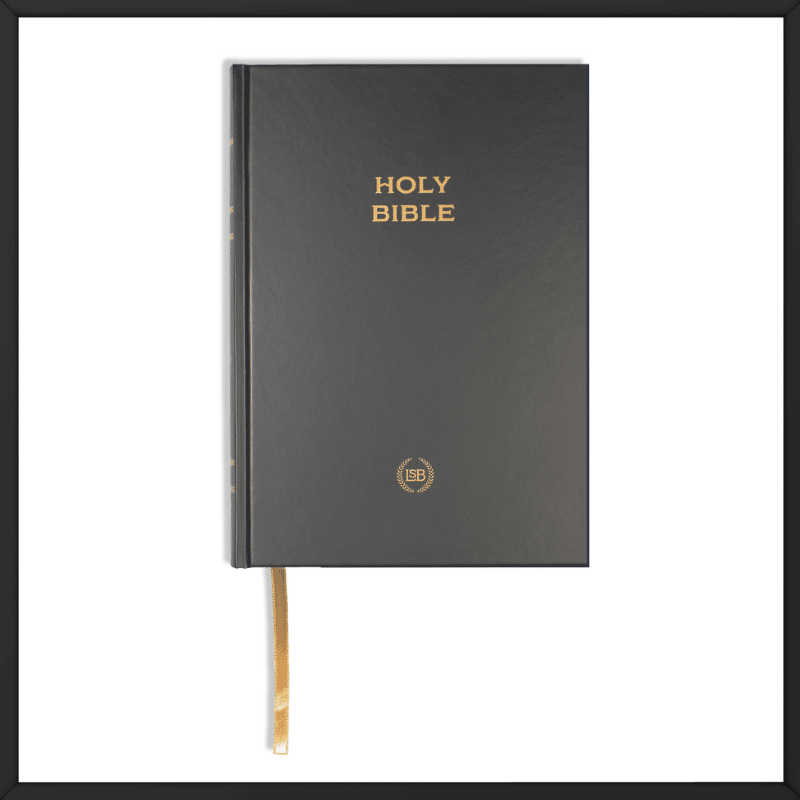 Printed overseas Legacy Standard Bible outside look