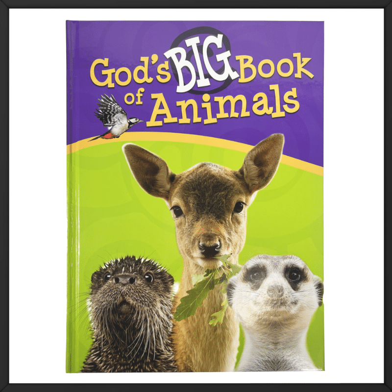 Printed overseas God's Big Book of Animals