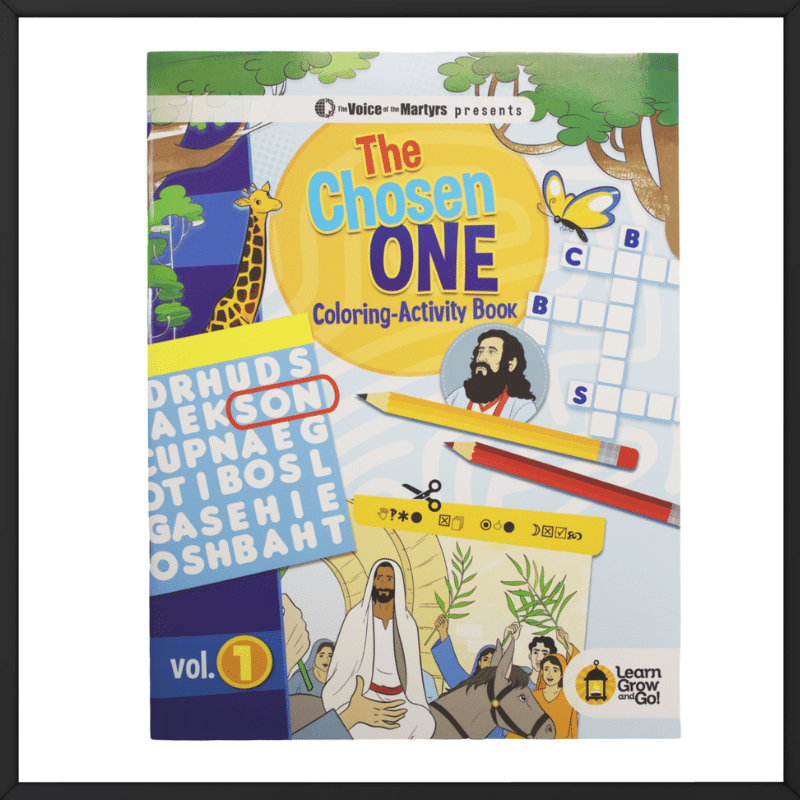 Printed overseas The Chosen One Color-Activity Curriculum Book outside look