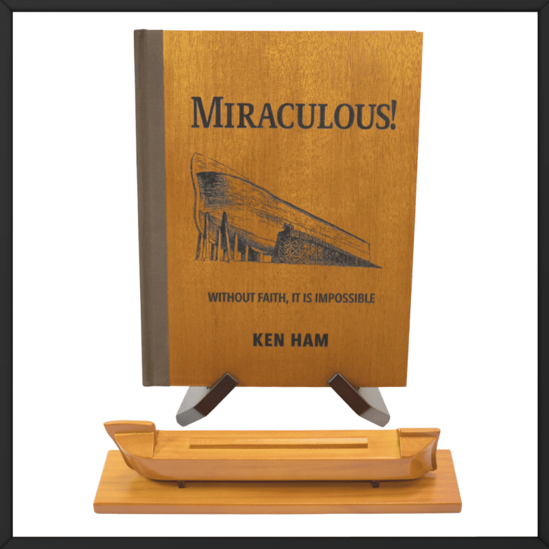 Printed overseas custom project Miraculous book with wooden ship add-on outside look
