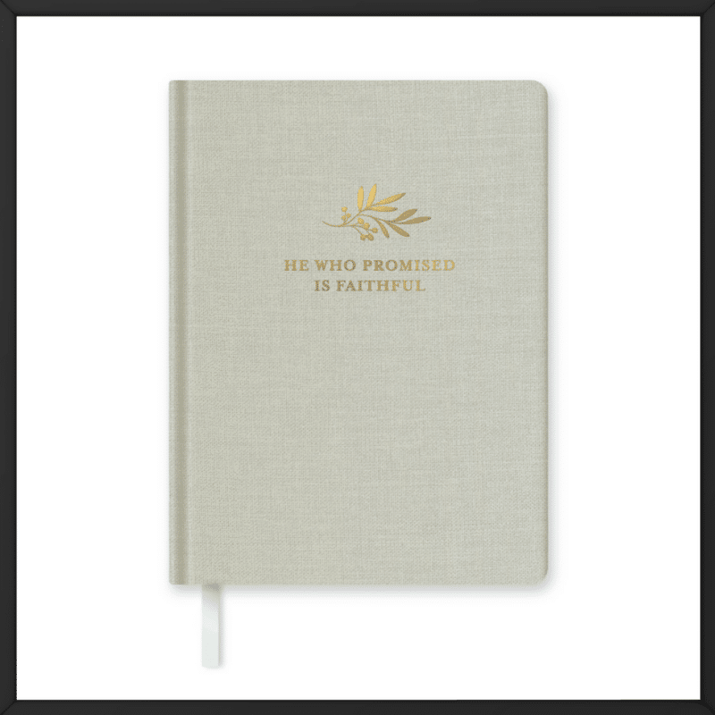 Overseas factory printing journals and notebooks