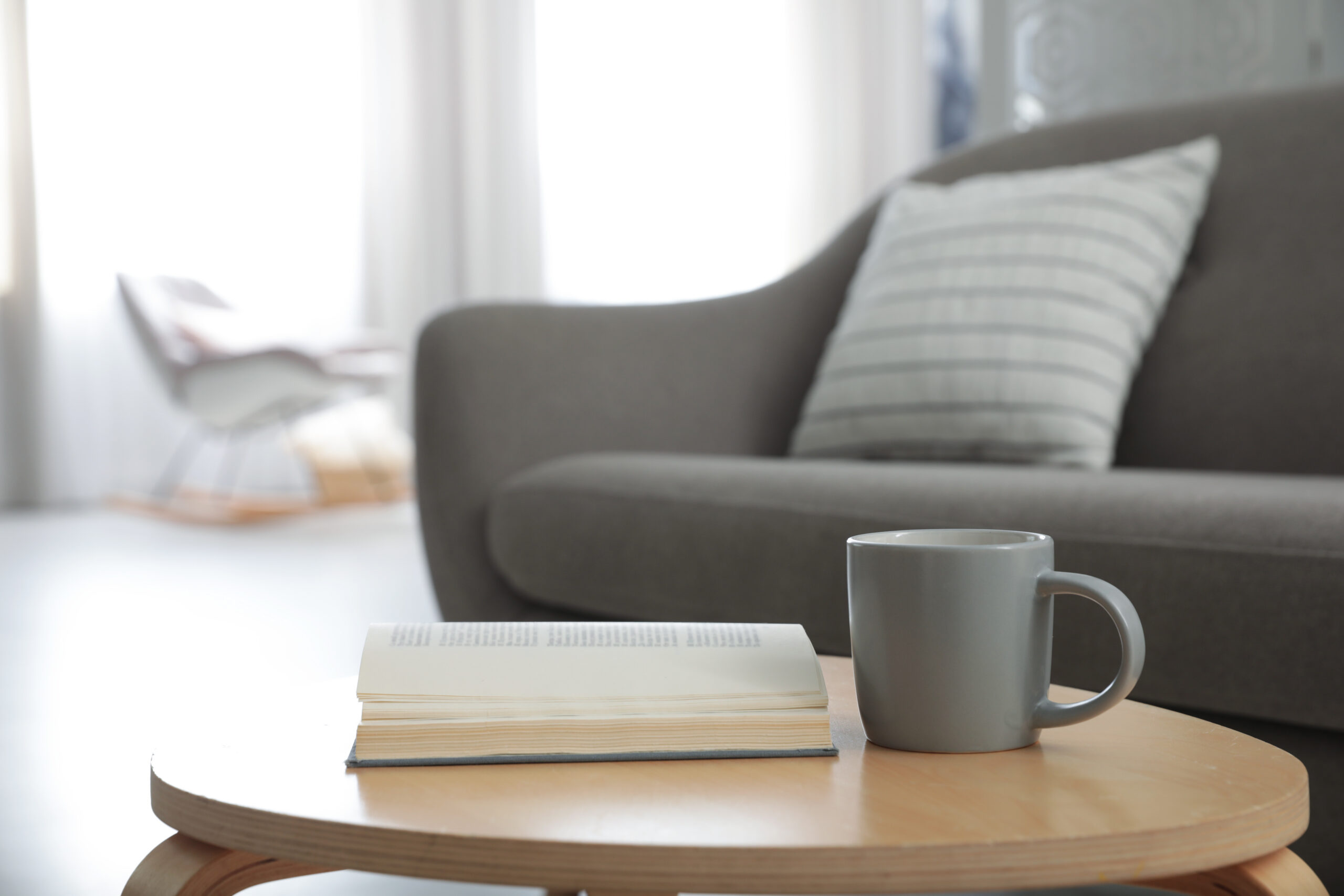 Living room setting with a coffee table book and mug.